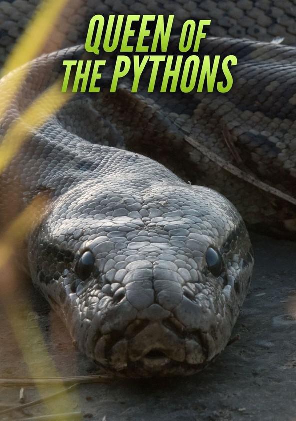 .ӢĻ.1080P.Queen.of.the.Pythons (2019)