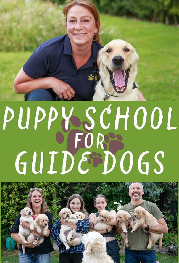 äȮȮѧУ Puppy School for Guide Dogs2023