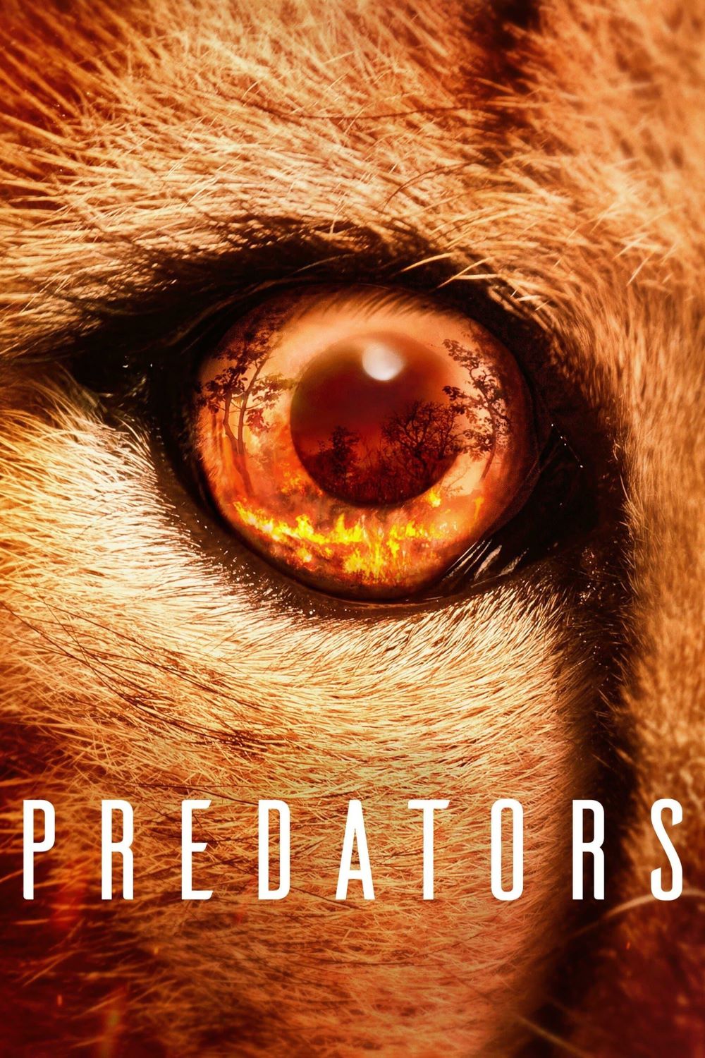 ʳ⶯.ȫ5.1080P+4K.Ӣ.Predators (2022)