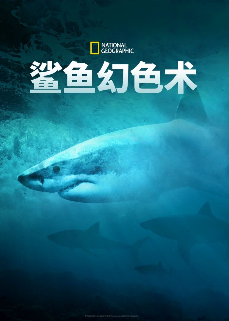 ɫ.Ӣ.1080P.Camo.Sharks (2022)