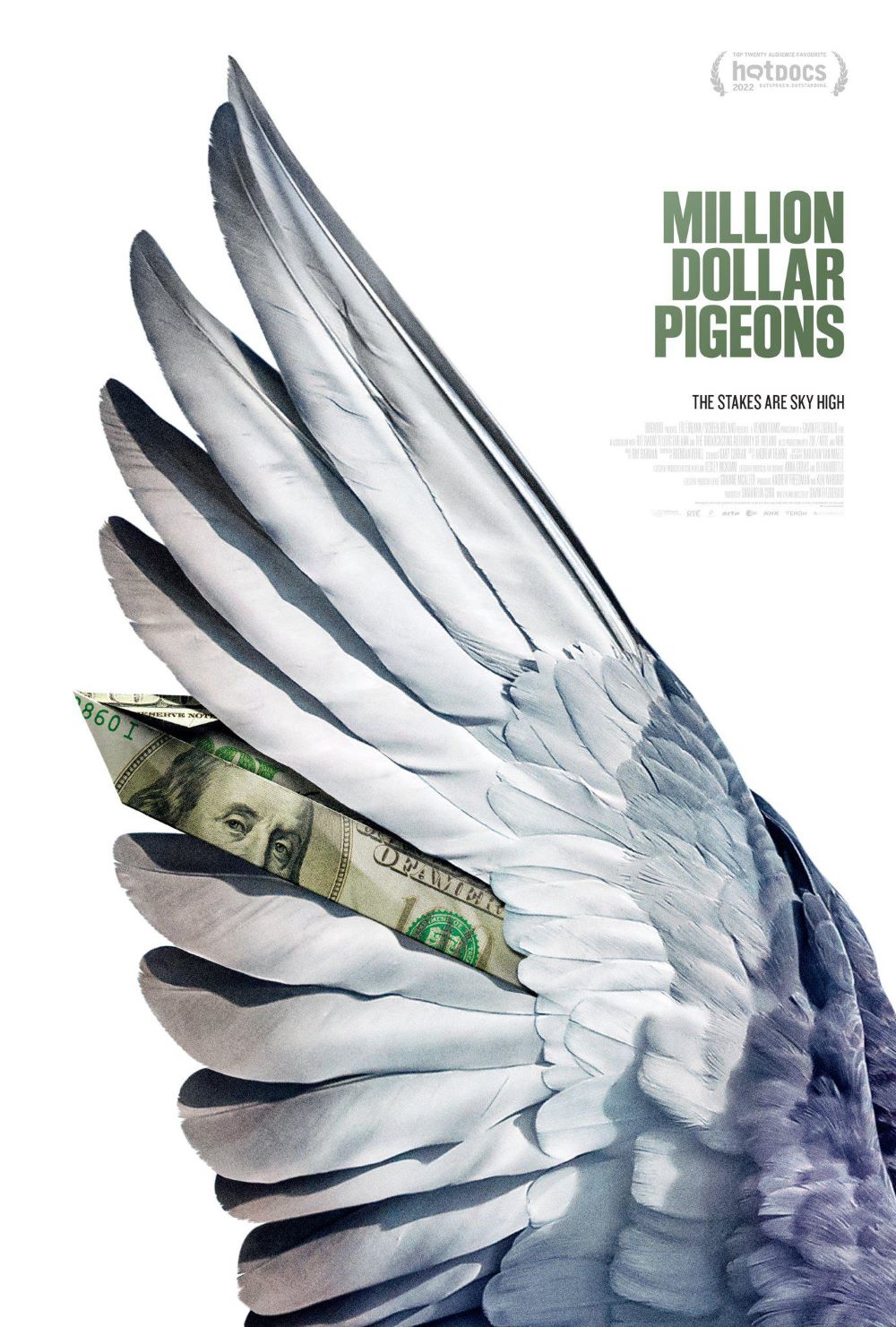 Ԫ..1080P.Million.Dollar.Pigeons (2022)