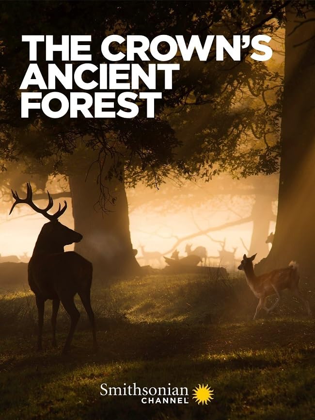 ҵĹɭ.ӢĻ.1080P.The.Crown's.Ancient.Forest (2021)