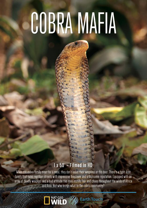 ۾ߺֵ Cobra Mafia (2015)