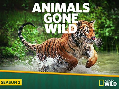 Ҳ.һ.ȫ6.-.1080i.Animals.Gone.Wild2014
