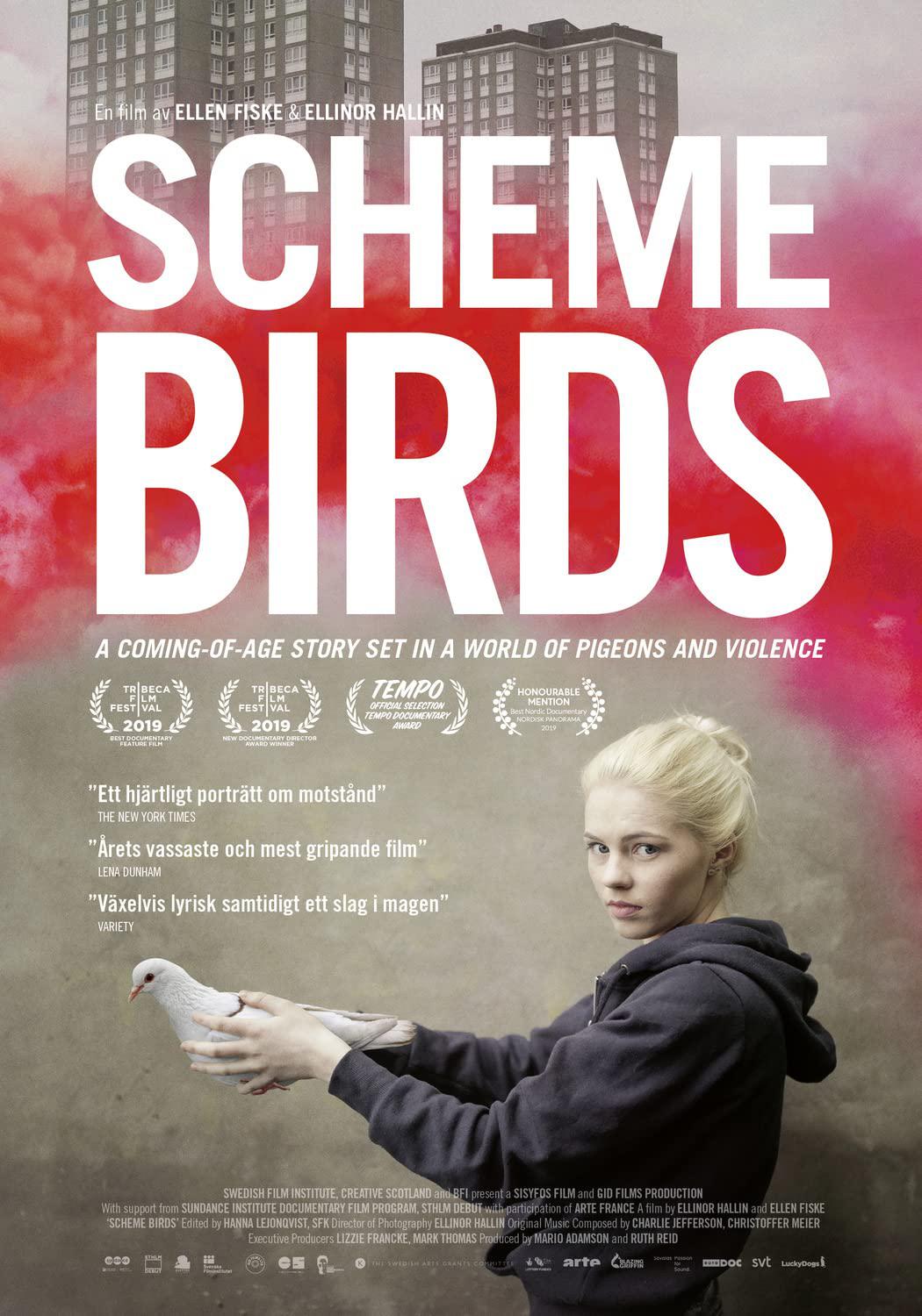 Σഺ..1080P.Scheme.Birds (2018)