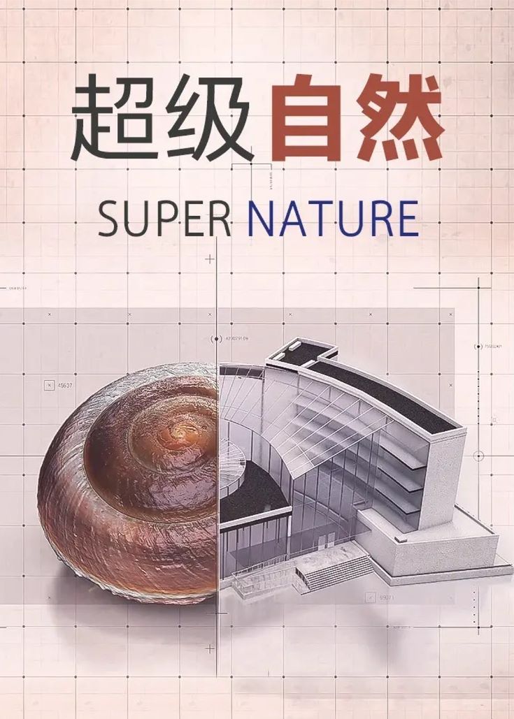 .ȫ5..1080P.Supernature (2019)