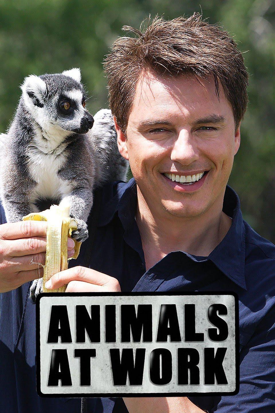 򹤼.ȫ26..1080P.Animals.at.Work (2008)