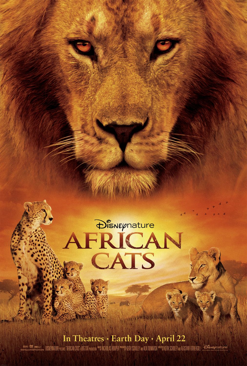 è.Ӣ.1080P.African.Cats (2011)