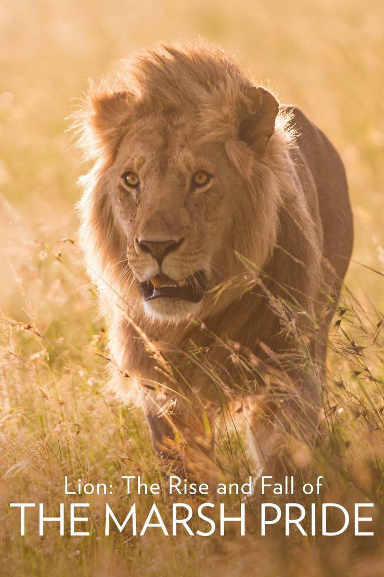 ʨӣʨȺ˥ Lion: The Rise and Fall of the Marsh Pride (2022)