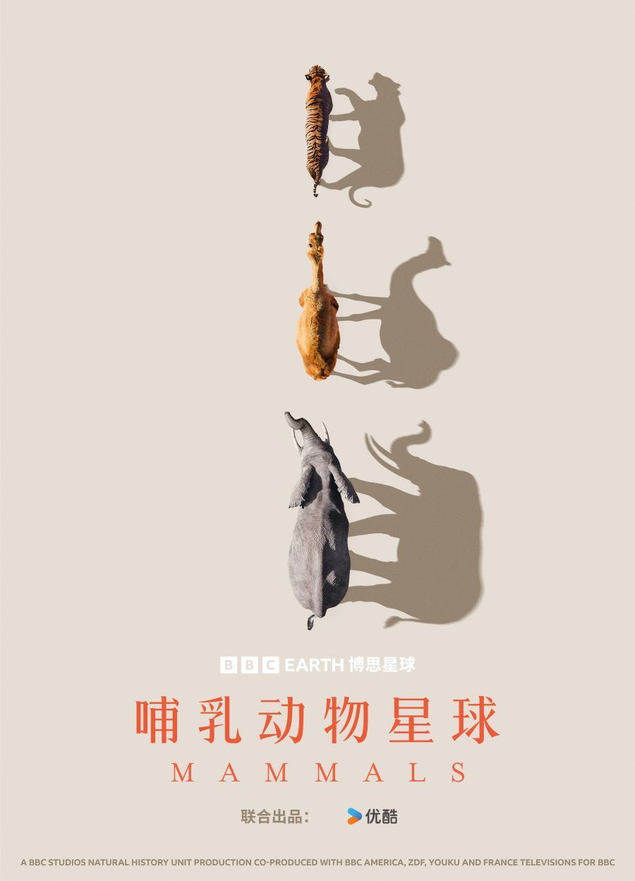 鶯.ȫ6.4K.Mammals (2024)