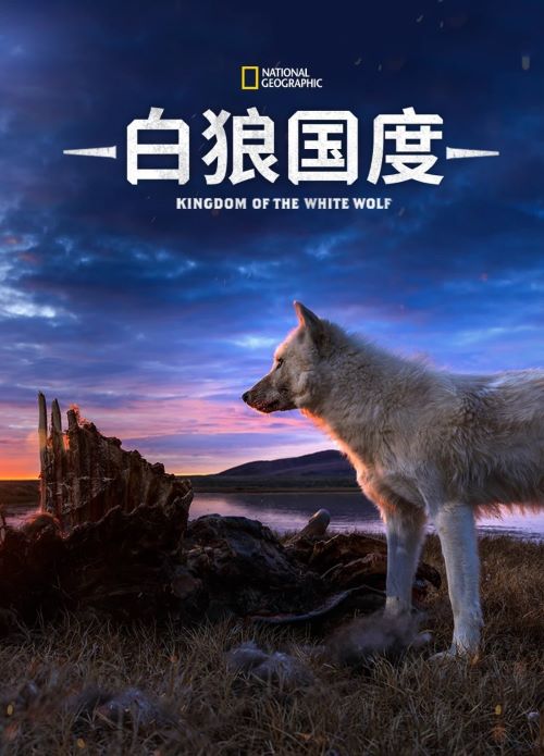 ѩ.ȫ3.ӢĻ.1080P.Kingdom of the White Wolf (2019)
