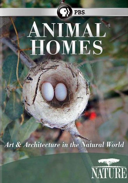֮ң.ȫ3.Ӣ.1080P.Animal Homes: The Nest (2015)