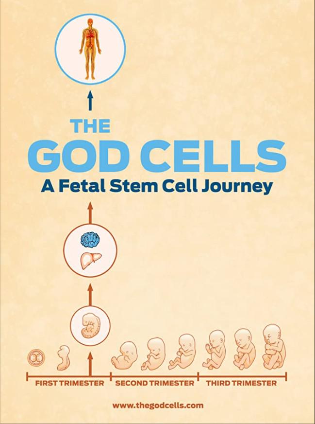 ̥֮ϸ.ӢĻ.1080P.The God Cells (2017)