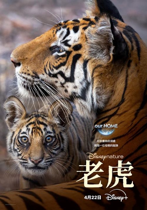 ϻ.Ӣ.1080P.Tiger (2024)