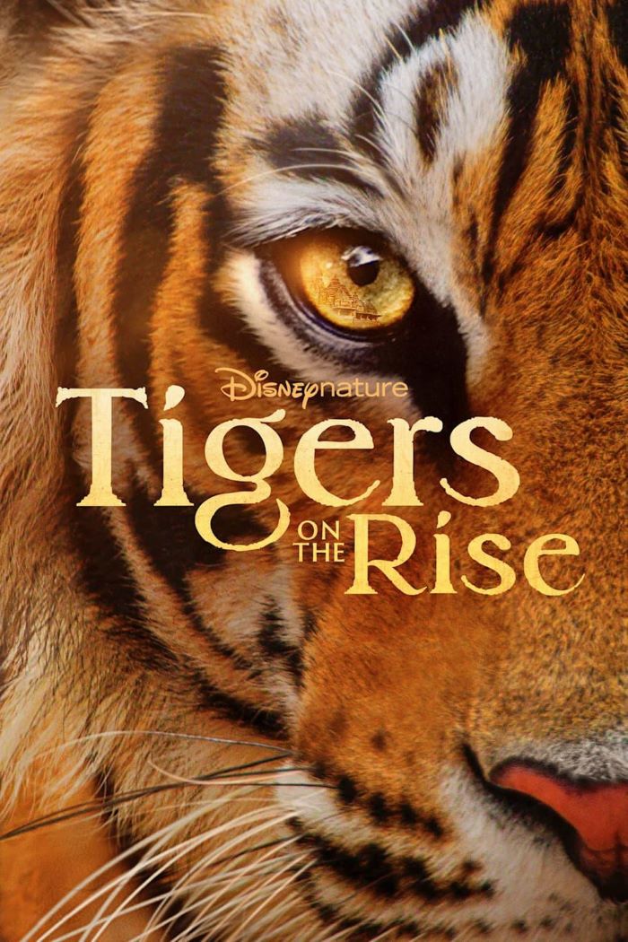 ϻ.ӢĻ.1080P.Tigers on the Rise (2024)