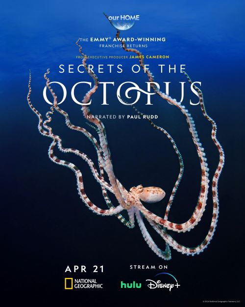 .ȫ3.Ӣ.1080P.Secrets of the Octopus (2024)