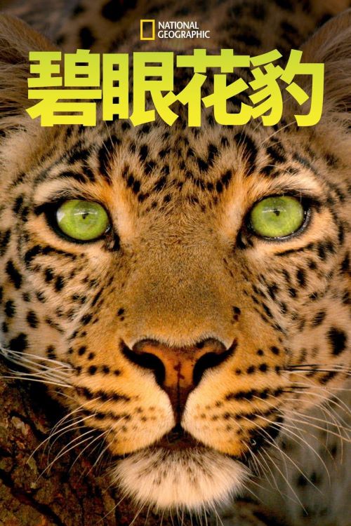 ۻ.Ӣ.1080P.Jade Eyed Leopard (2020)