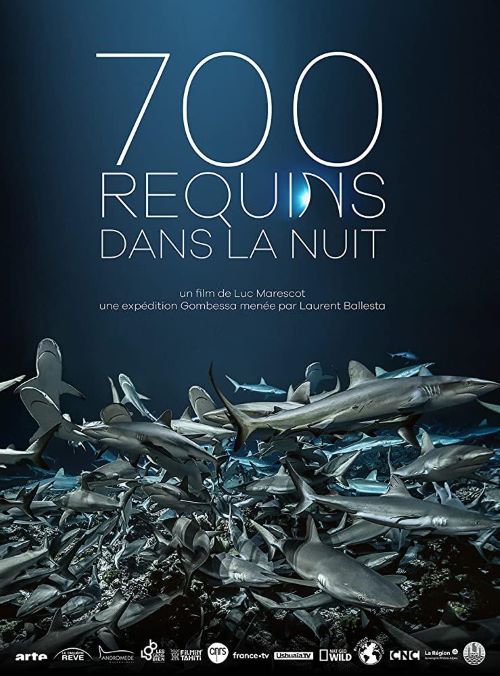 ̽..Ӣ.1080P.700 requins dans la nuit (2019)