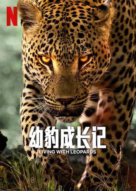 ױɳ.Ӣ.1080P.Living with Leopards (2024)