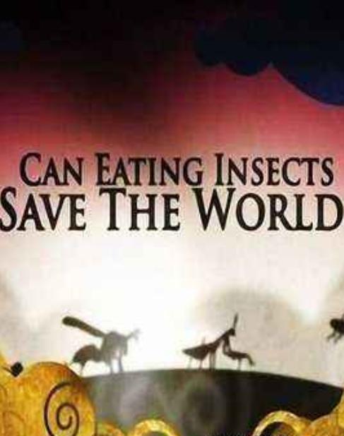 .Ӣ.1080P.Can Eating Insects Save the World? (2013)