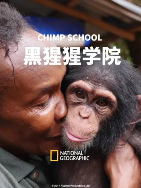 ѧԺ.ӢĻ.1080P.Chimp School (2016)