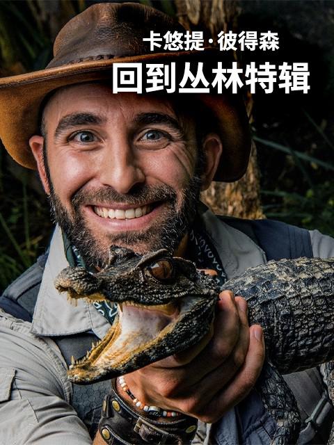 ᡤ˵ɭصؼ.ӢĻ.1080P2019