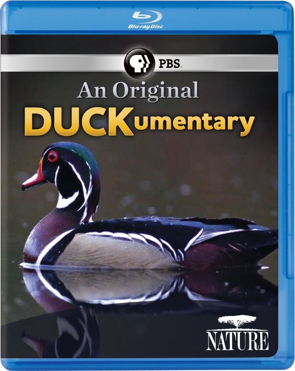 ѼѼ.ӢĻ.1080P.An Original DUCKumentary (2012)