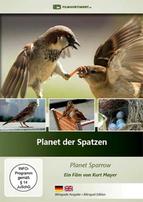 ϵȸ.Ӣ.1080P.Planet Sparrow (2013)