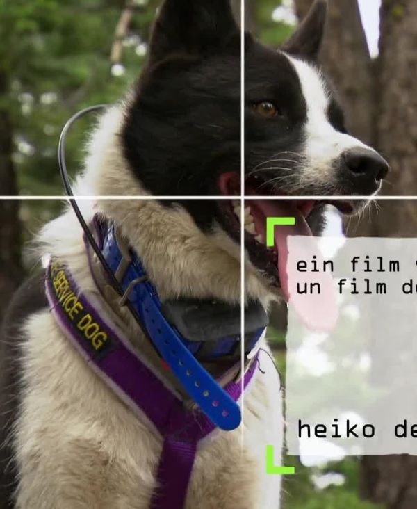 ڻȮ..1080P.The Bear Hunting Dogs of Nevada (2016)
