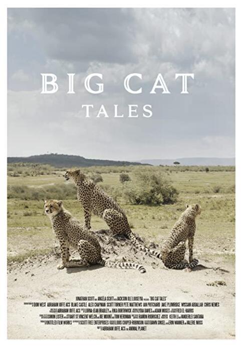 è 1-2 Big Cat Tales (2018)