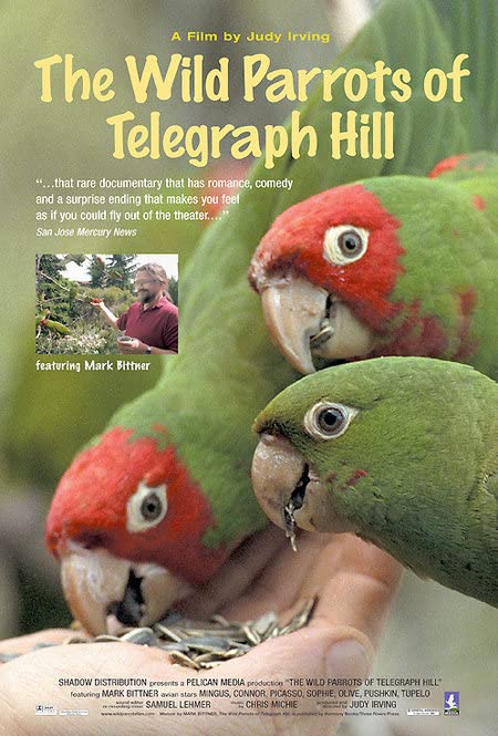 Ұ.ӢĻ.DVD.The Wild Parrots of Telegraph Hill (2005)