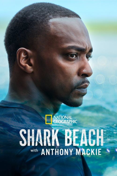 ᡤ󿭵̲ Shark Beach with Anthony Mackie (2025)