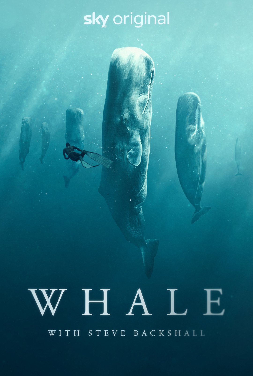 뾨.ȫ4.ӢĻ.1080P.Whale with Steve Backshall (2023)