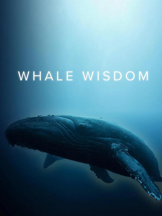ǻ.Ӣ..4K.Whale Wisdom (2018)