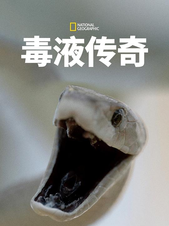 Һ.һ.ȫ3.Ļ.2160P.Legends of Venom (2023)