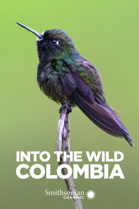 ߽Ұ⣺ױ.ȫ5.ӢĻ.1080P.Into the Wild: Colombia (2018)