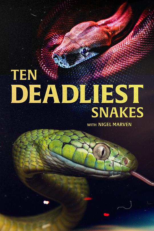 ʮ  Ten Deadliest Snakes with Nigel Marven Season 3 (2017)