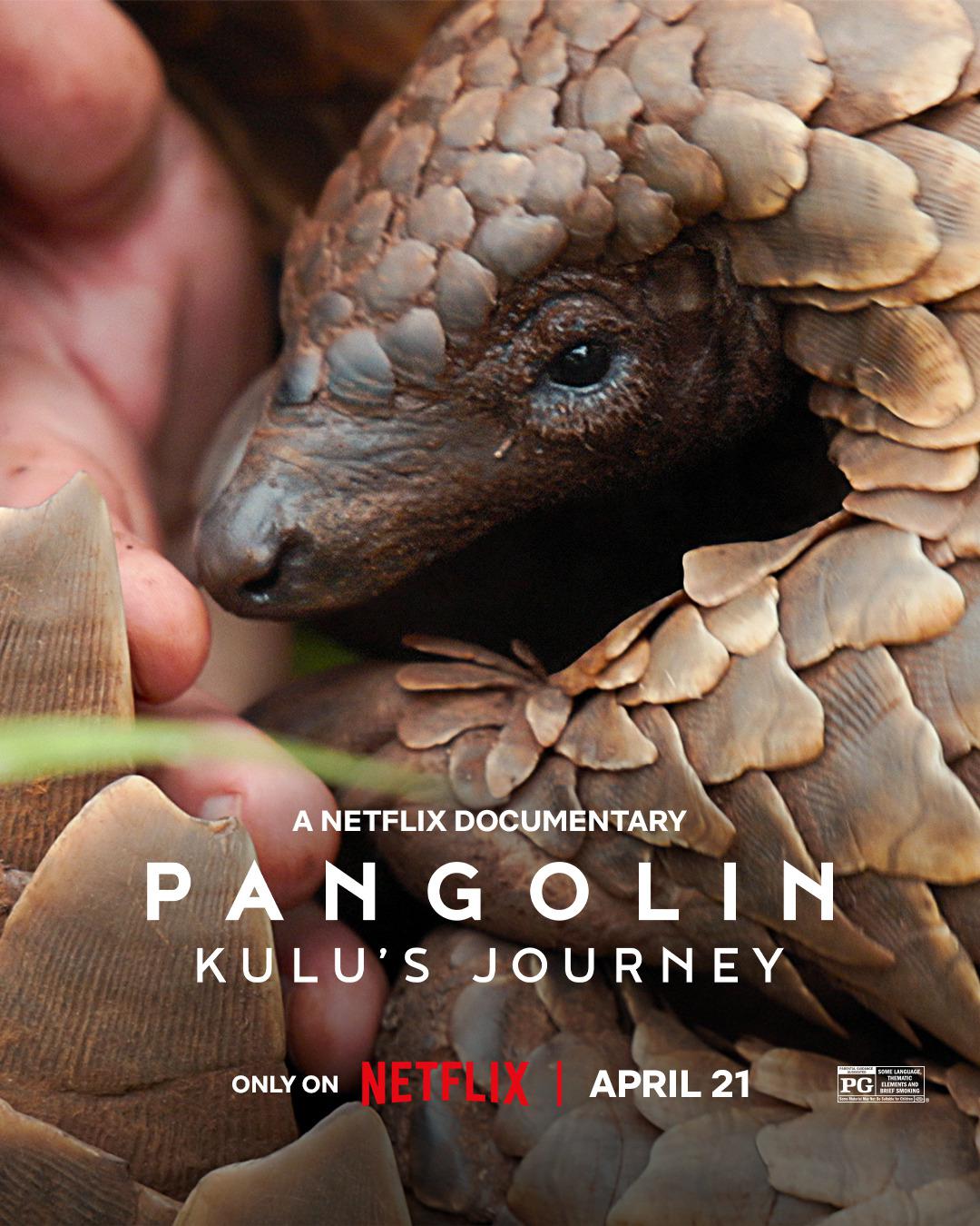 ɽKuluó.ӢĻ.1080P.Pangolin: Kulus Journey (2025)