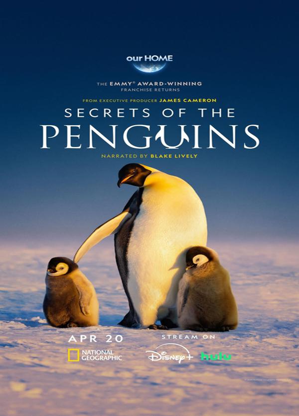 ֮.ȫ3.ٷ.1080P.Secrets of the Penguins (2025)