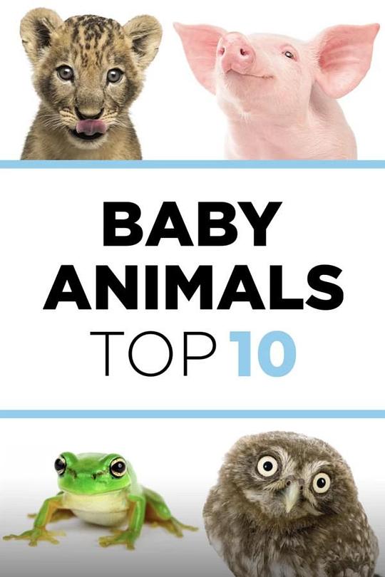 ﱦƴ һ Baby Animals Top 10 Season 1 (2023)