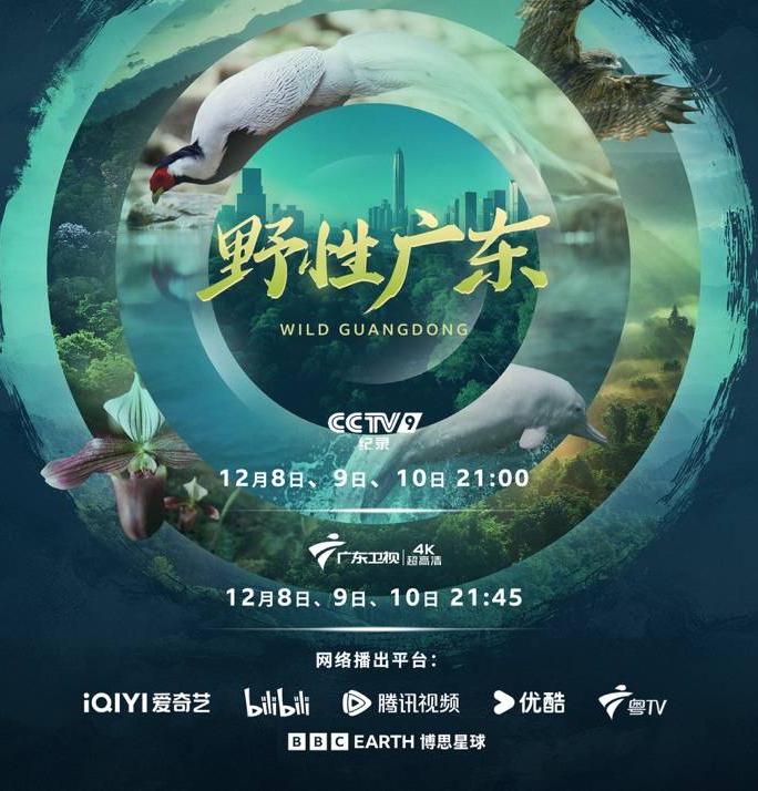 野性广东 Wild Guangdong (2025)