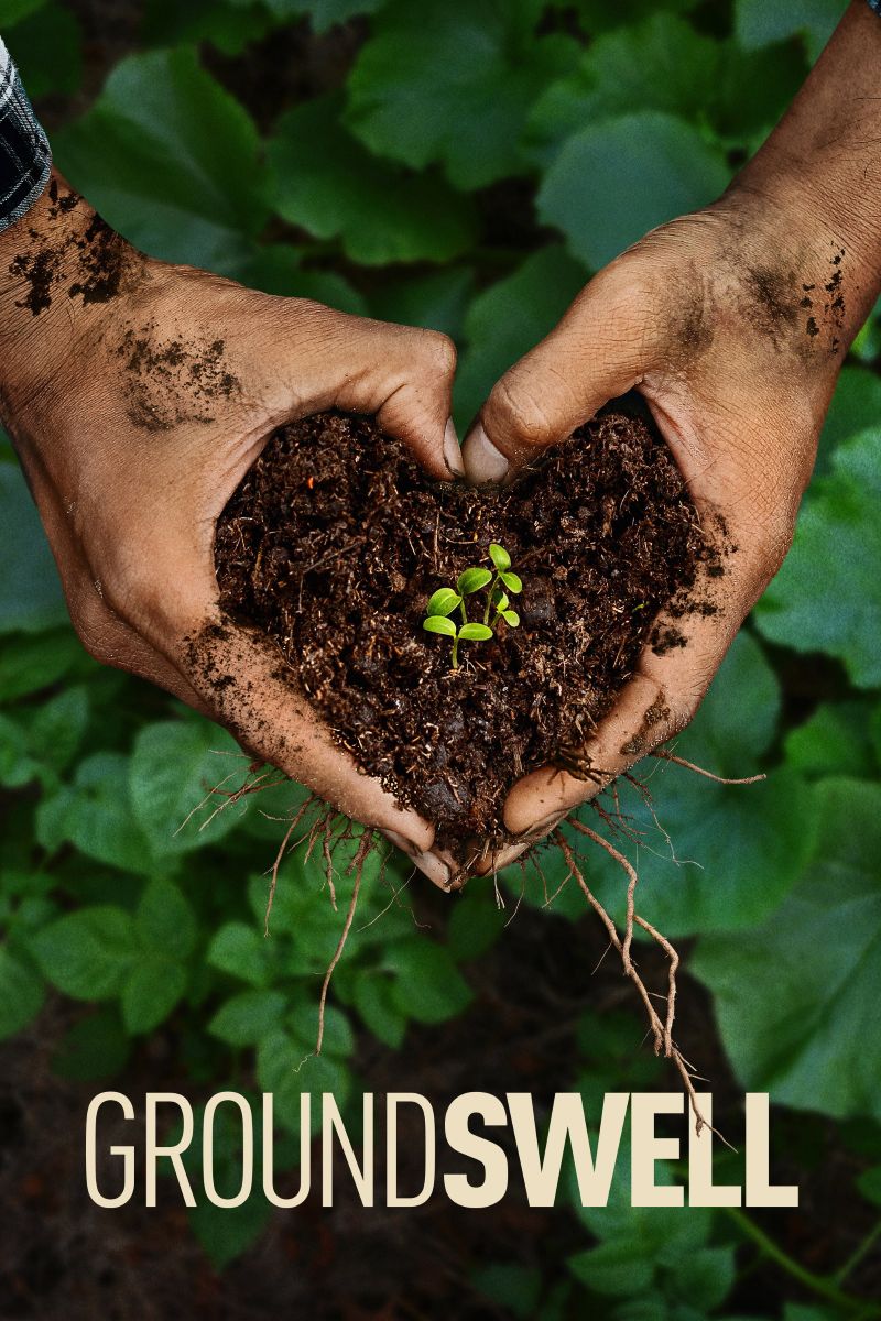 ���˻ش� Groundswell (2026)
