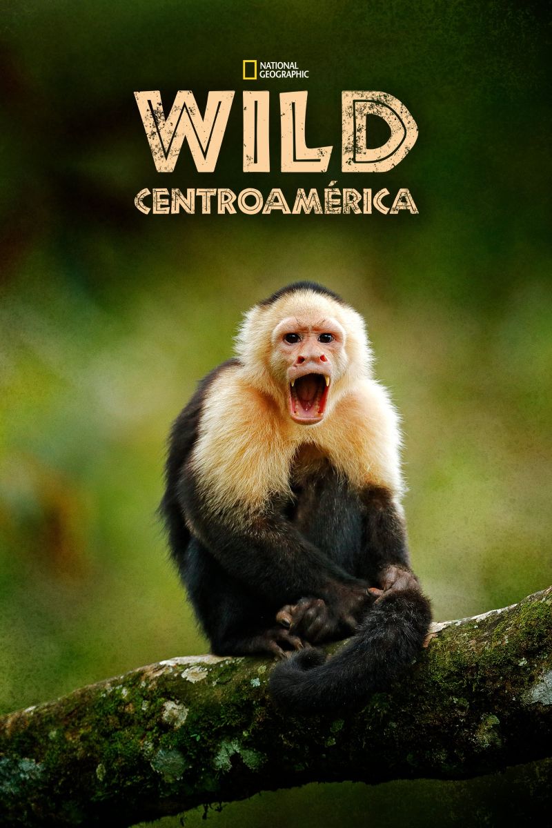 Ұ�������� Wild Central America (2020)