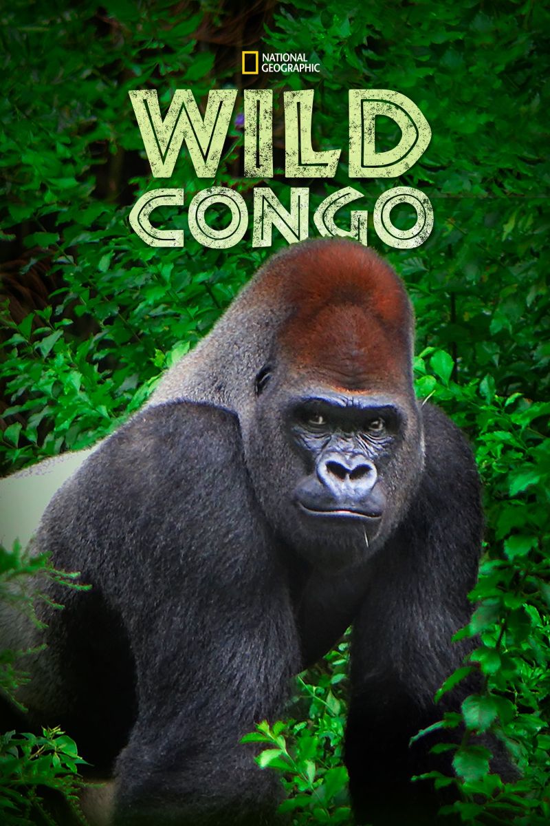 ��Ұ�չ� Wild Congo (2014)