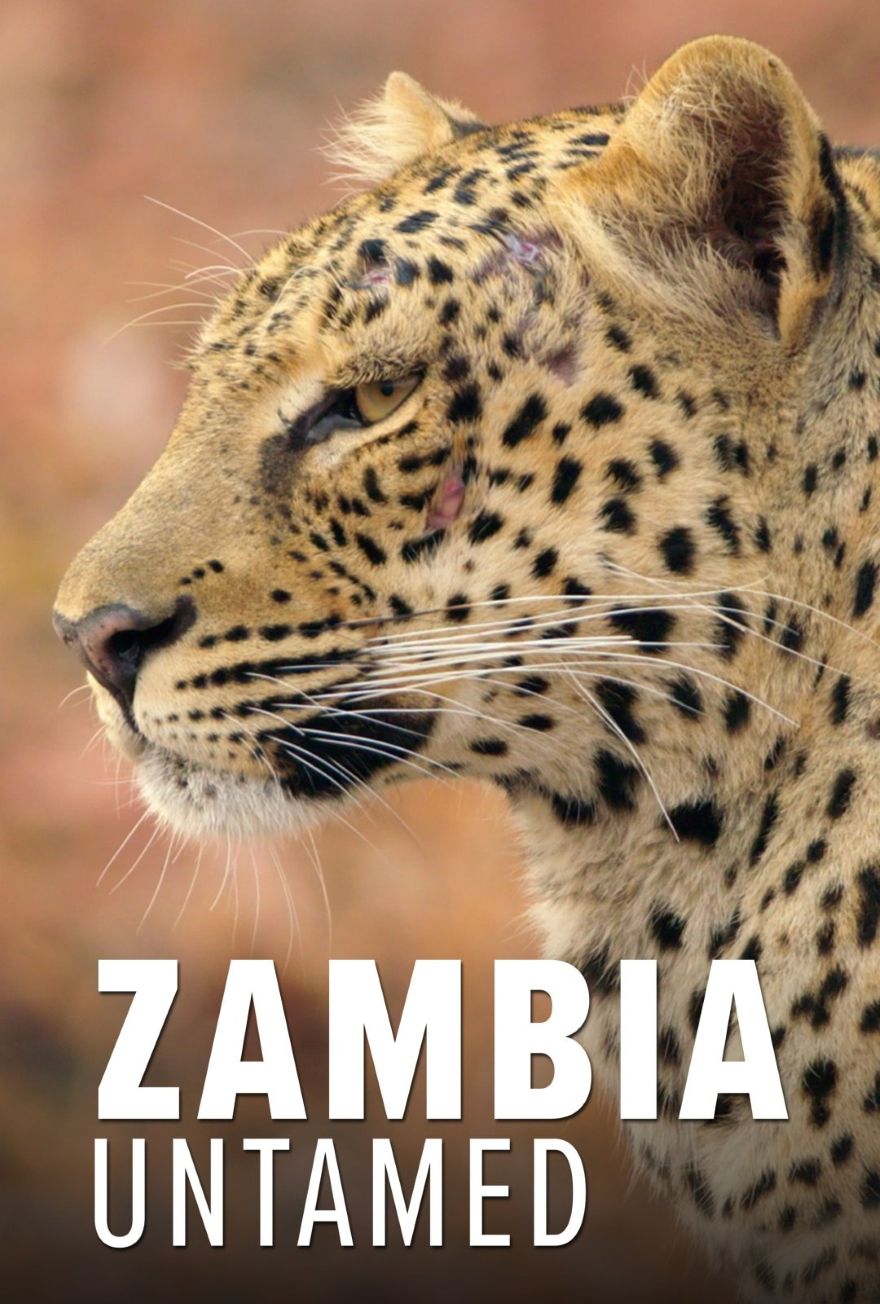 ��Ұ�ޱ��� ��һ�� Zambia Untamed Season 1 (2018)