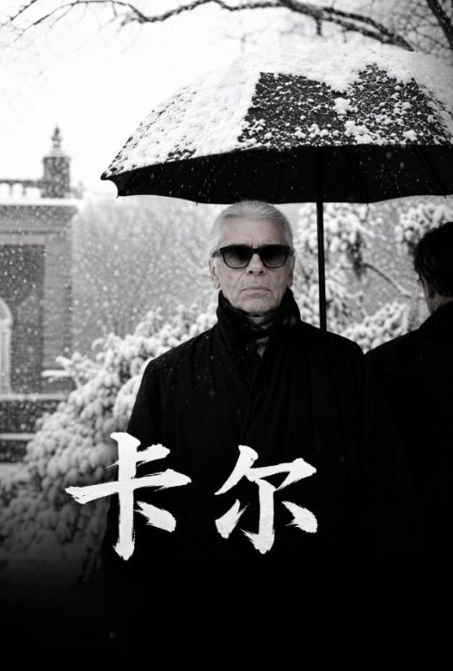 卡尔 Karl (2025)