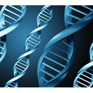 ࣺDNA೤ϵľ [BBC-¼Ƭ]