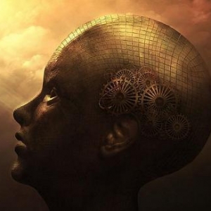 Σص١ [BBC-¼Ƭ]