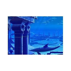 հ׷ϵ֮ʧ֮˹ ʷƵƷ