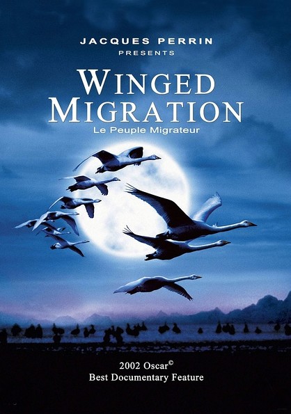 Ǩ/ Le peuple migrateur2001